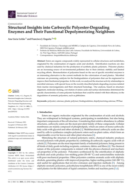 Structural Insights Into Carboxylic Polyester-Degrading Enzymes and Their Functional Depolymerizing Neighbors