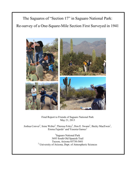 In Saguaro National Park: Re-Survey of a One-Square-Mile Section First Surveyed in 1941