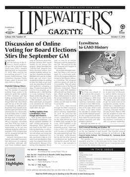 Discussion of Online Voting for Board Elections