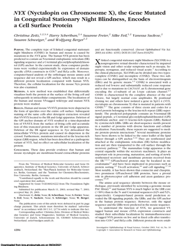 (Nyctalopin on Chromosome X), the Gene Mutated in Congenital Stationary Night Blindness, Encodes a Cell Surface Protein