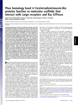 Phox Homology Band 4.1/Ezrin/Radixin/Moesin-Like Proteins Function As Molecular Scaffolds That Interact with Cargo Receptors and Ras Gtpases