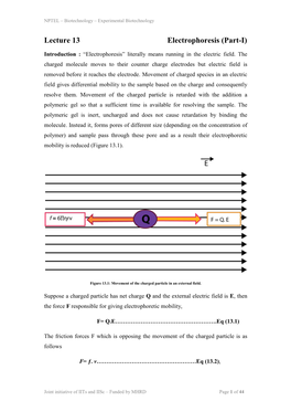 Lecture 13 Electrophoresis (Part-I)