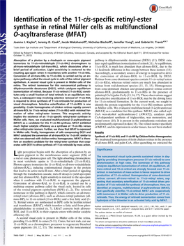 Identification of the 11-Cis-Specific Retinyl-Ester Synthase in Retinal Müller Cells As Multifunctional O-Acyltransferase (MFAT)