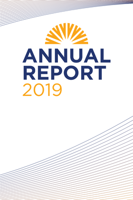 ANNUAL REPORT 2019 Chairman’S Report