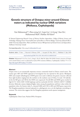 Genetic Structure of Octopus Minor Around Chinese Waters As Indicated by Nuclear DNA Variations (Mollusca, Cephalopoda)