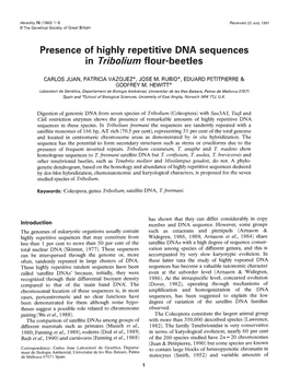 In Tribolium Flour-Beetles