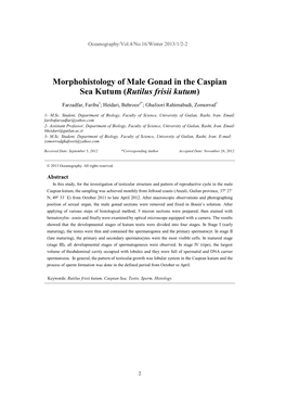 Morphohistology of Male Gonad in the Caspian Sea Kutum (Rutilus Frisii Kutum)