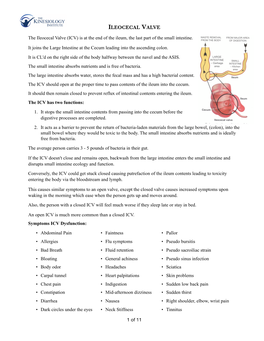 Ileocecal Valve