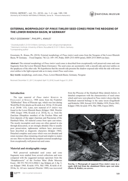 External Morphology of Pinus Timleri Seed Cones from the Neogene of the Lower Rhenish Basin, W Germany