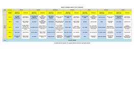 Weekly Nursing Lead Activity Schedule