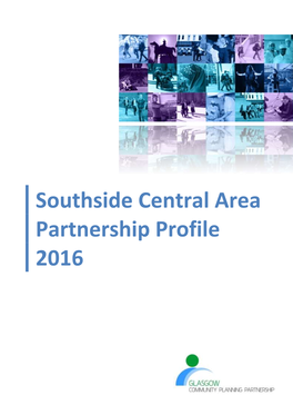 Southside Central Area Partnership Profile 2016