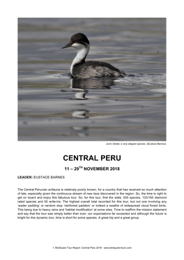 Central Peru 2018 Tour Report