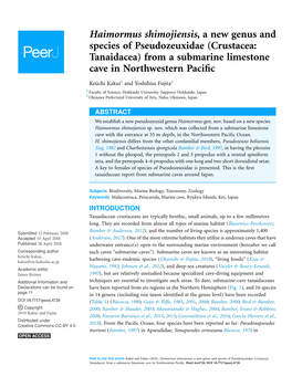 Haimormus Shimojiensis, a New Genus and Species of Pseudozeuxidae (Crustacea: Tanaidacea) from a Submarine Limestone Cave in Northwestern Paciﬁc