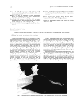 An Anti-Predator Behavior in Larvae of Libytheana Carinenta (Nymphalidae, Libytheinae)