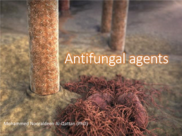 Antifungal Agents