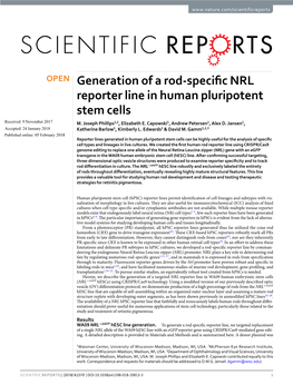 Generation of a Rod-Specific NRL Reporter Line in Human Pluripotent