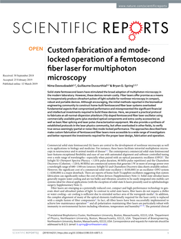 Custom Fabrication and Mode-Locked Operation of a Femtosecond Fiber