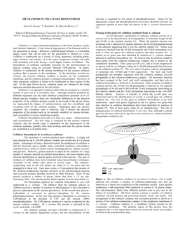 MECHANISMS in CELLULOSE BIOSYNTHESIS Activator Is Regulated by the Action of Phosphodiesterases