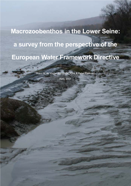 Macrozoobenthos in the Lower Seine: a Survey from the Perspective of The