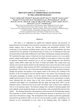 Iron Dynamics in Terrestrial Ecosystems in the Amur River Basin