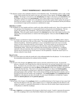 Insect Morphology - Digestive System 1