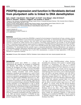 Pdgfrb Expression and Function in Fibroblasts Derived from Pluripotent Cells Is Linked to DNA Demethylation