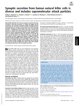 Synaptic Secretion from Human Natural Killer Cells Is Diverse and Includes Supramolecular Attack Particles