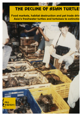 The Decline of Asian Turtles