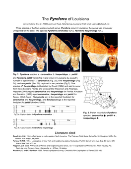 Brou, Vernon A. 2004. the Pyreferra of Louisiana. South. Lepid. News