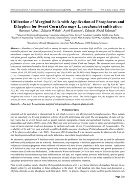 Utilization of Marginal Soils with Application of Phosphorus and Ethephon for Sweet Corn (Zea Mays L. Saccharata) Cultivation