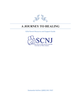 A Journey to Healing