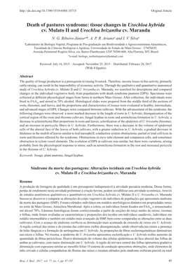 Death of Pastures Syndrome: Tissue Changes in Urochloa Hybrida Cv