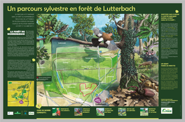 La Forêt Du Nonnenbruch Richwiller Lutterbach