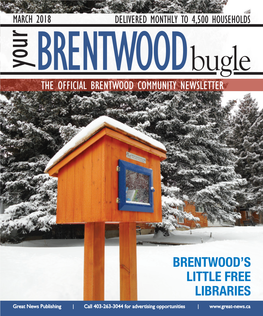 Brentwood's Little Free Libraries