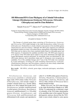 18S Ribosomal RNA Gene Phylogeny of a Colonial Volvocalean Lineage (Tetrabaenaceae-Goniaceae-Volvocaceae, Volvocales, Chlorophyceae) and Its Close Relatives