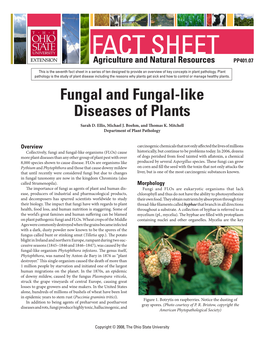 Fungal and Fungal-Like Diseases of Plants