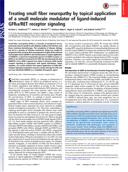 Treating Small Fiber Neuropathy by Topical Application of a Small