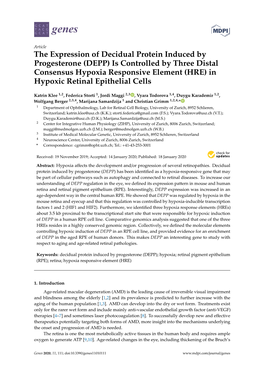 The Expression of Decidual Protein Induced by Progesterone