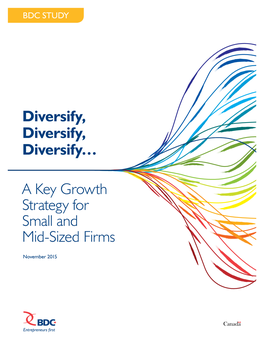 Diversification: a Key Growth Strategy for Smes – BDC Study