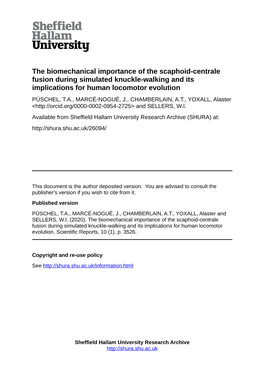 The Biomechanical Importance of the Scaphoid-Centrale Fusion During