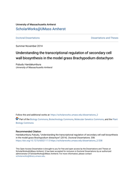 Understanding the Transcriptional Regulation of Secondary Cell Wall Biosynthesis in the Model Grass Brachypodium Distachyon