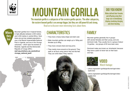 MOUNTAIN GORILLA and Offspring Using Their the Mountain Gorilla Is a Subspecies of the Eastern Gorilla Species