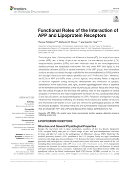 Functional Roles of the Interaction of APP and Lipoprotein Receptors
