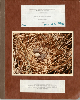 This Ibis Nesting Colony on Carson Lake Pasture., South of Fallon, Will