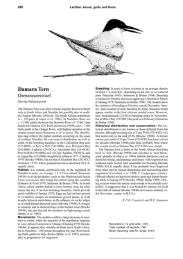 Damara Tern of About 1–8 Nests/Km2, Depending on the Site, Or As Scattered Damaraseeswael Pairs (Maclean 1985C; Simmons & Braine 1994)