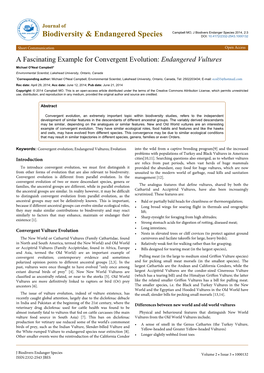 A Fascinating Example for Convergent Evolution: Endangered Vultures