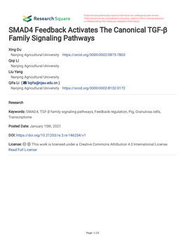 SMAD4 Feedback Activates the Canonical TGF-Β Family Signaling Pathways