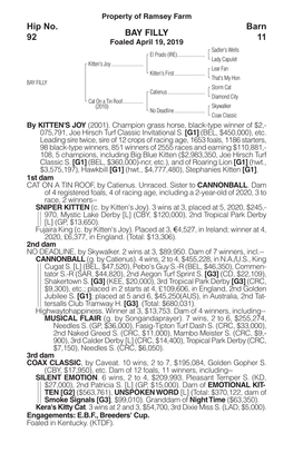 BAY FILLY Barn 11 Hip No. 92