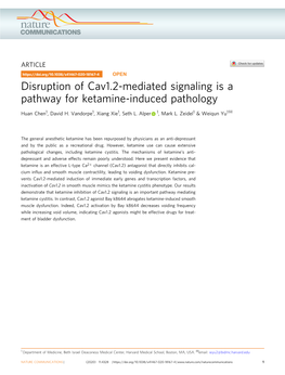 Disruption of Cav1.2-Mediated Signaling Is a Pathway for Ketamine-Induced Pathology ✉ Huan Chen1, David H