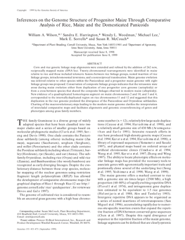 Inferences on the Genome Structure of Progenitor Maize Through Comparative Analysis of Rice, Maize and the Domesticated Panicoids